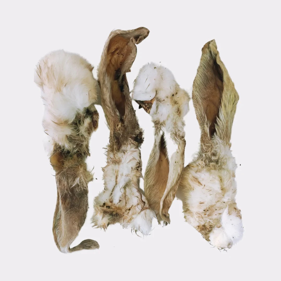 Hairy Rabbit Ears 500g