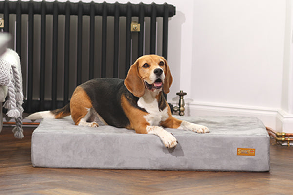 Smart Beds - Smart pet beds