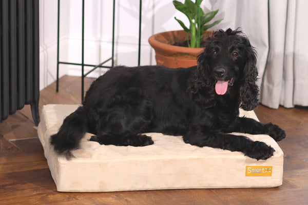 Smart Beds - Smart pet beds